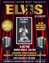 Elvis Poster